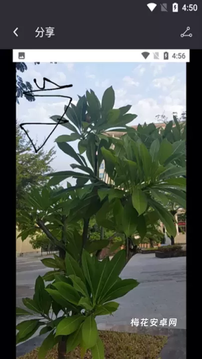 照片水印_https://m.nk-zx.com_手机美化_第4张